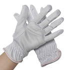 Weiße Hand schwitzte besonders angefertigten Absorption die Arbeitscleanroom-Polyester-Handschuhe